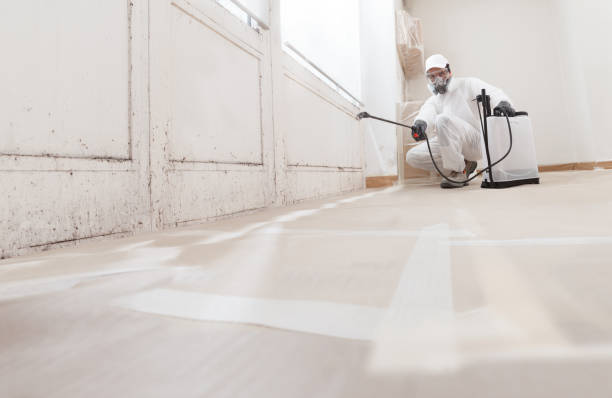 24/7 Emergency Mold Inspection experts in Willow Spring, NC