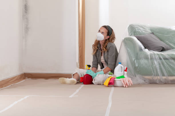 Reliable Mold Inspection contractor in Willow Spring, NC by WQB Mold Removal